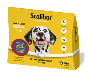 SCALIBOR PROTECTOR BAND*BI65CM - FarmaLucia