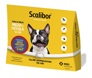 SCALIBOR PROTECTOR BAND*BI48CM - FarmaLucia