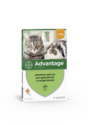 ADVANTAGE*4PIP 0,4ML SPOTON - FarmaLucia