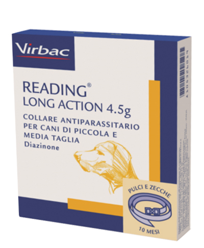 READING LONG ACT*CANI PI-ME - FarmaLucia