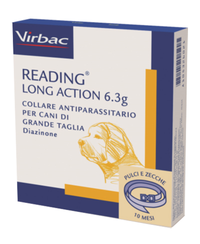 READING LONG ACT*CANI GRANDI - FarmaLucia