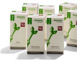 CISTO MACERATO GLICERICO 50 ML - FarmaLucia