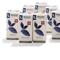 ERNIARIA TINTURA MADRE 50 ML - FarmaLucia