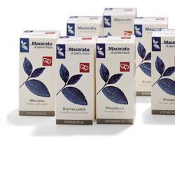 EUFRASIA TINTURA MADRE 100 ML - FarmaLucia