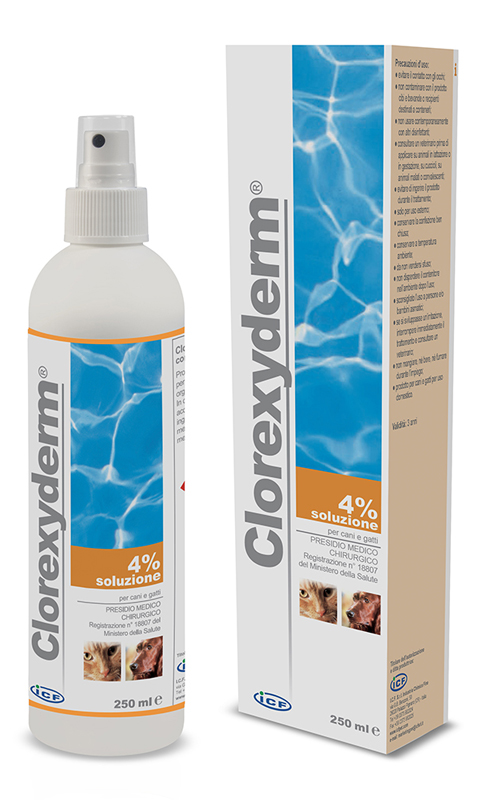 CLOREXYDERM SOLUZIONE 4% 250 ML - FarmaLucia