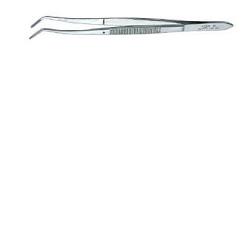 PINZA MEDICAZIONE DENTARIA - FarmaLucia