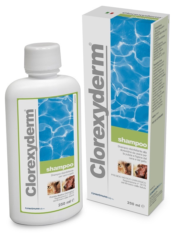 CLOREXYDERM SHAMPOO 250 ML - FarmaLucia