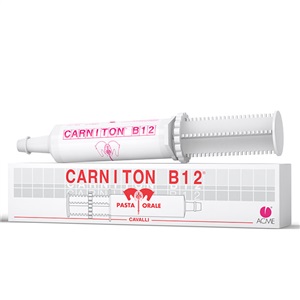 CARNITON B 12 PASTA SIRINGA 100 G - FarmaLucia