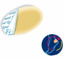 COMPEED VESCICHE CEROTTI FORMATO MEDIO 5 PEZZI - FarmaLucia