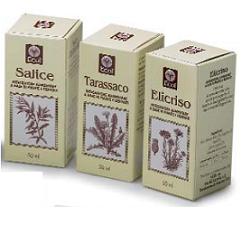 OLIO GERME GRANO 100 ML 501 - FarmaLucia