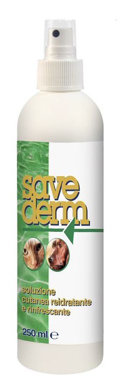 SAVEDERM SOLUZIONE 250 ML - FarmaLucia