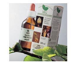 CARPINO 100 ML MACERATO GLICERICO - FarmaLucia