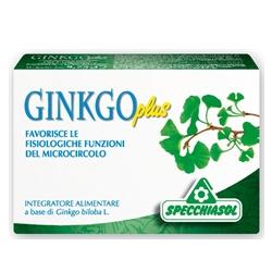 GINKGO PLUS 30 CAPSULE - FarmaLucia