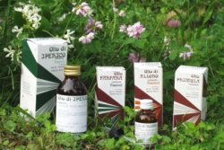 RAEMIL PRIMULA OLIO 25 ML - FarmaLucia