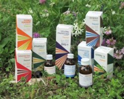 RAEMIL PROPOLI COMPOSTO 15 ML - FarmaLucia