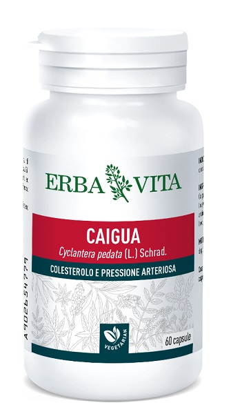 CAIGUA 60 CAPSULE 400 MG - FarmaLucia