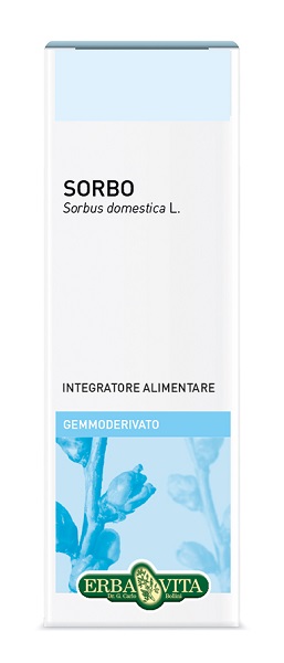 GEMMODERIVATO SORBO 50 ML - FarmaLucia