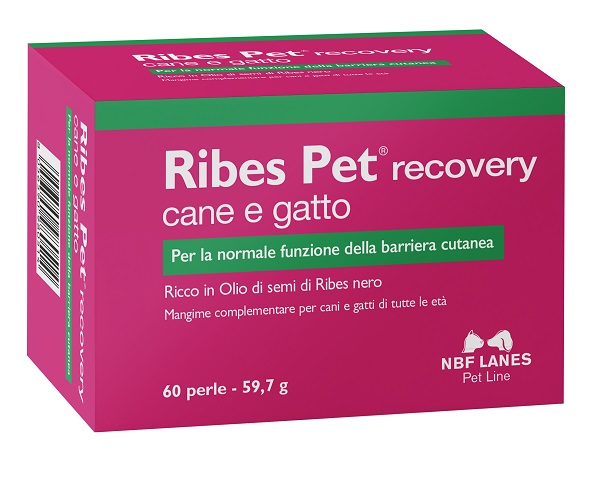 RIBES PET RECOVERY BLISTER 60 PERLE - FarmaLucia