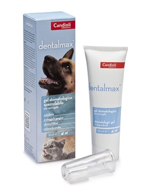DENTALMAX GEL STOMATOLOGICO 50 ML - FarmaLucia