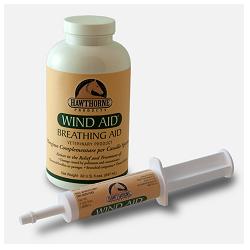 WIND AID SCIROPPO 947 ML - FarmaLucia