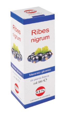 RIBES NIGRUM MACERATO GLICERICO 100 ML GOCCE - FarmaLucia