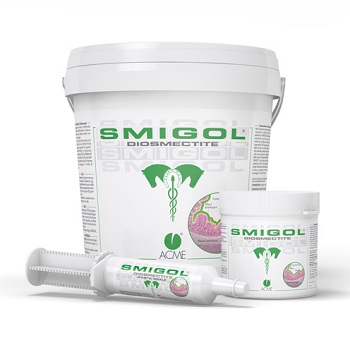 SMIGOL PASTA SIRINGA 100 G - FarmaLucia