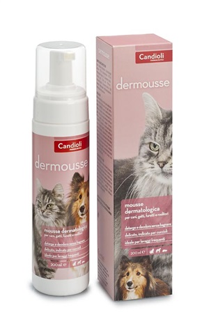DERMOUSSE MOUSSE FLACONE 200 ML - FarmaLucia