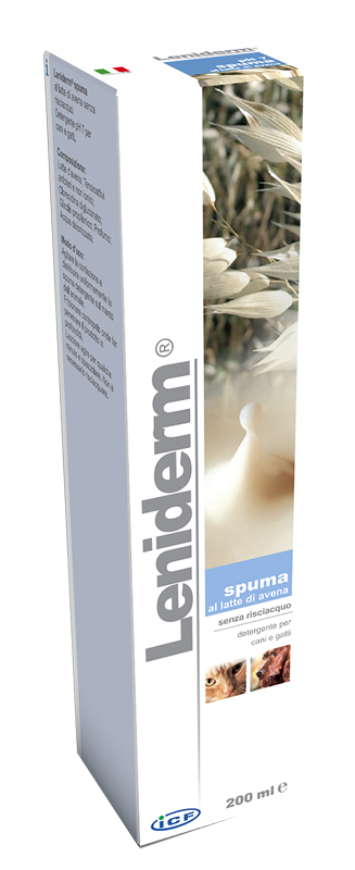 LENIDERM SPUMA DETERGENTE 200 ML - FarmaLucia