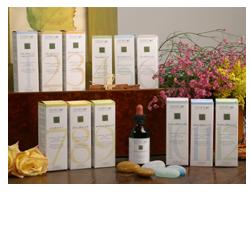 ZEF03 GASTRO PLANT STV - FarmaLucia