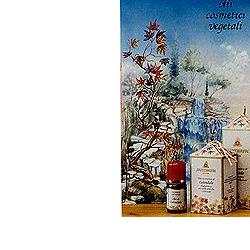 CALENDULA OLIO 100ML - FarmaLucia
