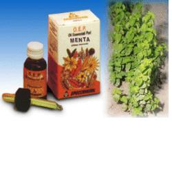 MENTA OLIO ESSENZIALE PURO 10 ML - FarmaLucia