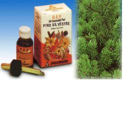 PINO SILVESTRE OLIO ESSENZIALE PURO 10 ML - FarmaLucia