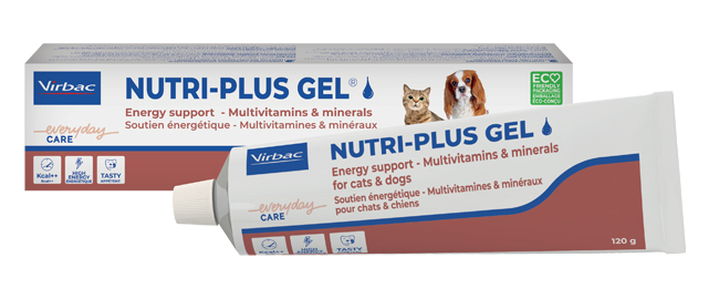 NUTRIPLUS GEL PASTA ORALE 120 G - FarmaLucia