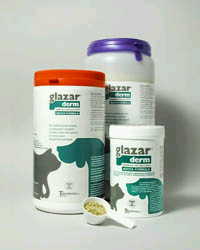 GLAZARDERM FLACONE 500 G - FarmaLucia