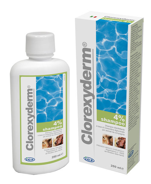 CLOREXYDERM SHAMPOO 4% 250 ML - FarmaLucia