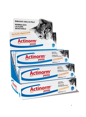 ACTINORM PASTA GATTI 65 G - FarmaLucia