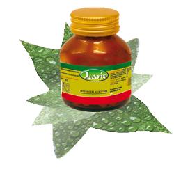 MACA 60 CAPSULE - FarmaLucia