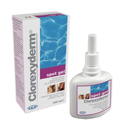 CLOREXYDERM SPOT GEL 100 ML - FarmaLucia