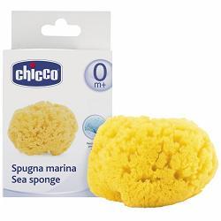 CHICCO SPUGNA MARE PICCOLA - FarmaLucia