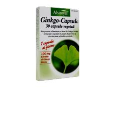 GINKGO CAPSULE 30 CAPSULE - FarmaLucia