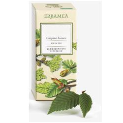 AESCULUS HIPPOCASTANUM GEMME GEMMODERIVATO 50 ML - FarmaLucia