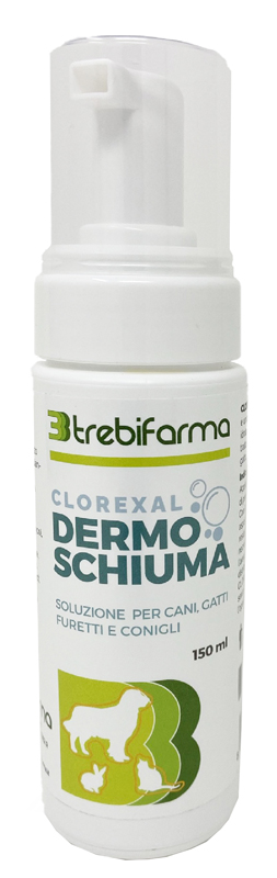 CLOREXAL DERMOSCHIUMA 150 ML - FarmaLucia