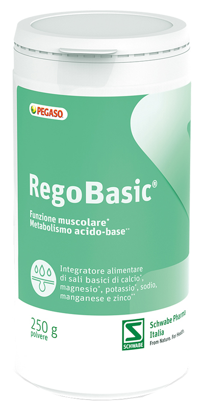 REGOBASIC POLVERE 250 G - FarmaLucia