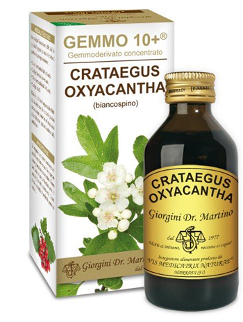 GEMMO 10+ BIANCOSPINO LIQUIDO ANALCOLICO 100 ML - FarmaLucia