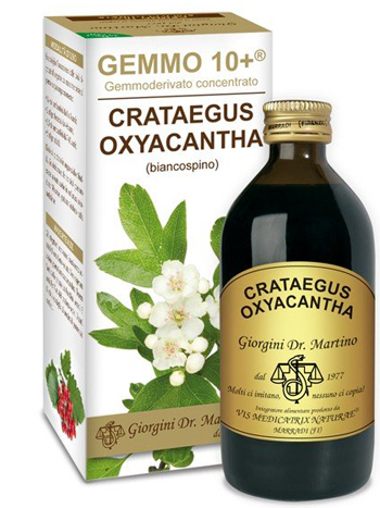 GEMMO 10+ BIANCOSPINO LIQUIDO ANALCOLICO 200 ML - FarmaLucia