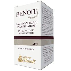 BENOIT LACTOBACILLUS PLANTHARUM 30 CAPSULE - FarmaLucia