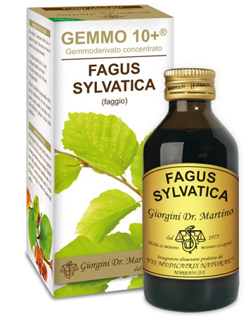 GEMMO 10+ FAGGIO 100 ML LIQUIDO ANALCOLICO - FarmaLucia