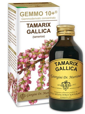 GEMMO 10+ TAMERICE 100 ML LIQUIDO ANALCOLICO - FarmaLucia