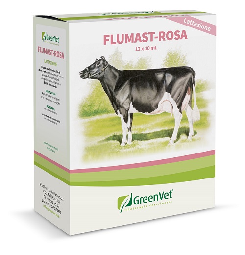 GREENVET FLUMAST ROSA DERM 12 SIRINGHE DA 10 ML - FarmaLucia