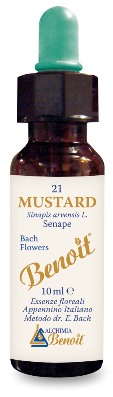 FIORI DI BACH BENOIT MUSTARD 10 ML - FarmaLucia